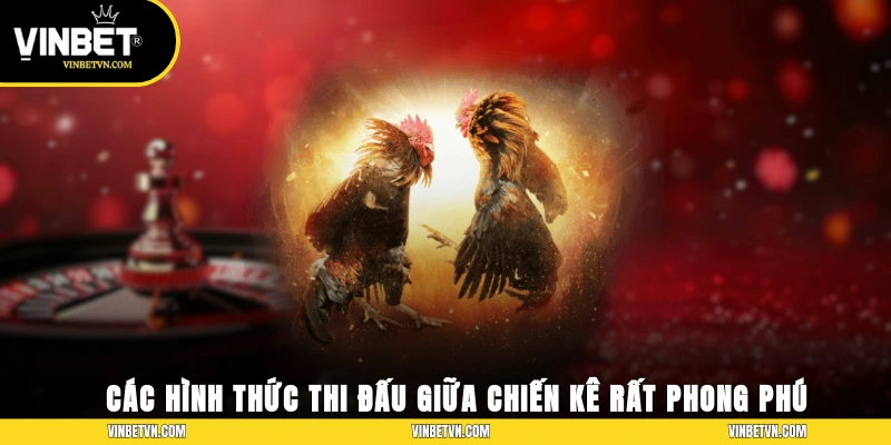 Các hình thức thi đấu giữa chiến kê rất phong phú