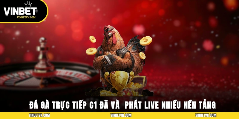 Đá gà trực tiếp C1 đã và đang phát live ở nhiều nền tảng trên toàn cầu