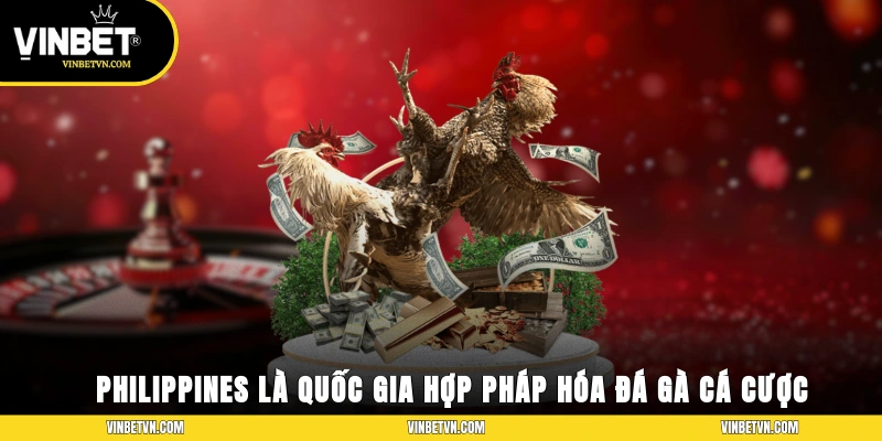Philippines là quốc gia hợp pháp hóa đá gà cá cược